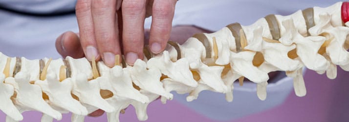 Chiropractic Weldon Spring MO Spine Chiropractic Weldon Spring MO Spine
